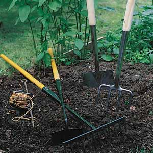 Tools you need for gardening